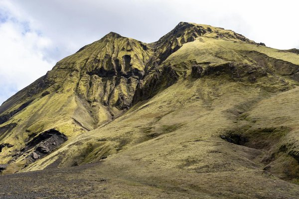 Prendre du muscle rapidement : 5 astuces incontournables