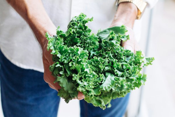 Quels sont les avantages de la consommation de chou kale pour la santé digestive?